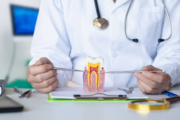 Best Walk-In Emergency Dental Services in Gibsonville, NC